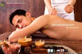 JAS Wellness Spa ambiance